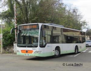 Central luxury rooms img29