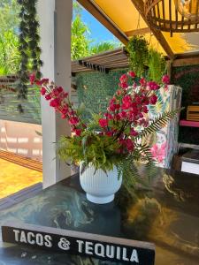 Hidden Gem Barbados