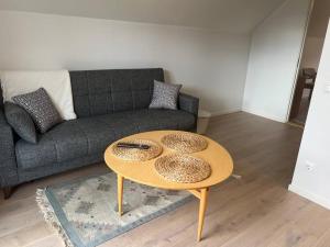 Cozy garage apartment