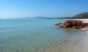 Studio charmant à Cervione avec piscine partagée - 30 m²