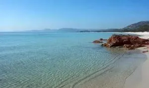 Studio charmant à Cervione avec piscine partagée - 30 m² - Prunete