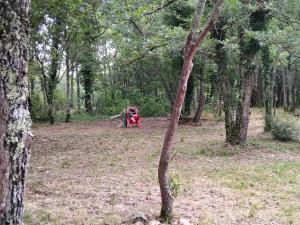 Campings L-ESCALE de LARCHER 24250 : photos des chambres