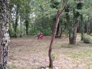 L'ESCALE de LARCHER 24250 - Léobard