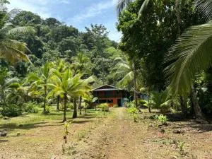 Mar y Selva - Nabugá