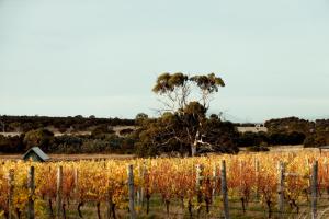 Gregans Retreat - Lisdillon - Waterfront