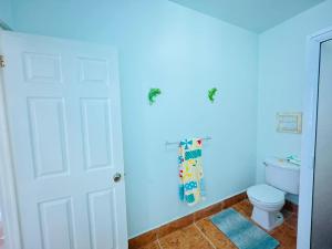 Exclusive! cozy star house Great price