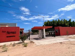 Exclusive! cozy star house Great price