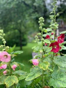 Ferienwohnungen Jagerer