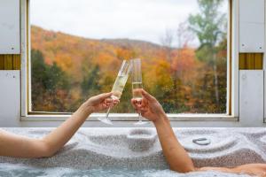 BearForceOne - AC Hot Tub Pool table Grill FirePit