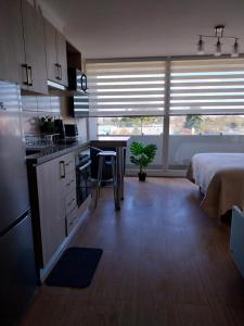 Departamento studio diario