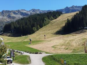 Charmant 2 pièces cabine, au pied des pistes de Prapoutel, balcon sud-est, ascenseur, 6 pers - FR-1-771-55