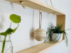 Another Your Place on Davidson!