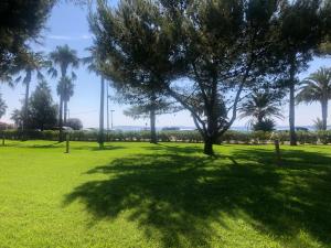 Appartements Cannes Terrace Beach Front & Sea view : photos des chambres
