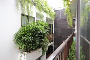 Ha Noi Tropical House in the Old Quarter