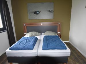 Holiday home for group with sauna and pool