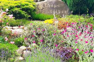 Haus Eickert - Ferienwohnung