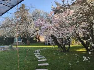 Maison Jardin Jacuzzi proche Disney - Conches
