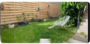 Mésange d Atlas - North West Paris Suburbs