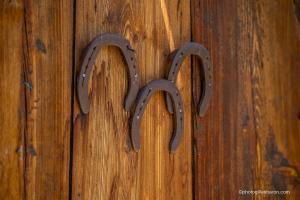 Appartements Chalet la Forestiere : photos des chambres