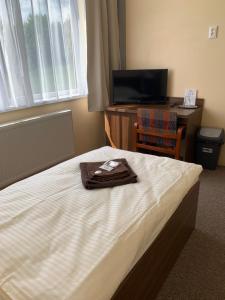 Single Room room in Hotel SAD