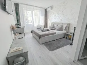 TS Room - 阿尔杰什河畔库尔泰亚