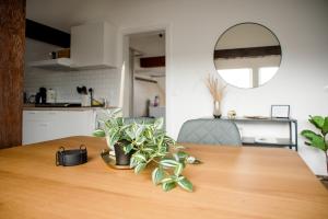 2-Room Apartment - Old Town & Lahn