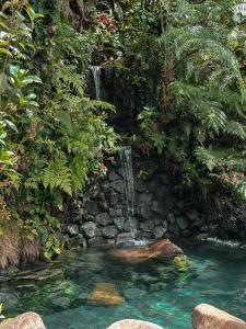 Batak Legacy, A Jungle Hideaway