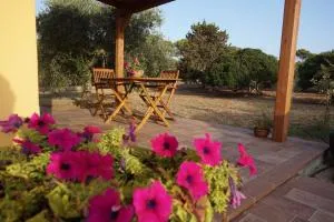 Bombarde Natural House - بورتو كونتي