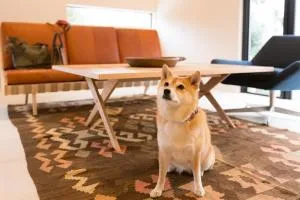 The Canvas Hayama Park - Yokosuka