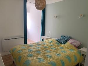 Cap d Agde centre port et parking privatif