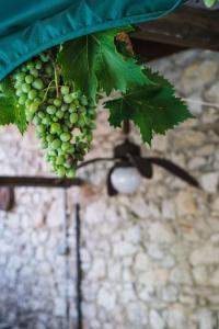 Casa do Vale Pereiro