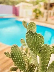 3 - LE VACOA - CHAMBRE 3 - Rdc D - Saint-Leu