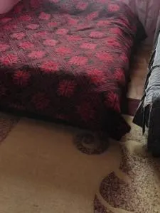 Vila Stanojevic3A - Priboj