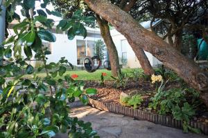 In a Forest by the Sea