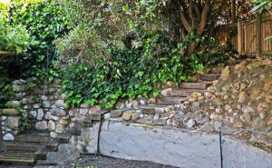 In a Forest by the Sea