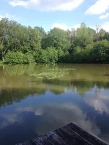 l'étang du perche - LʼAigle