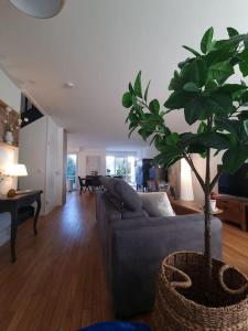 Garden Alley House 8 personnes