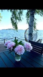 Moderni rantasauna ja -mökki