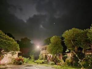 三才灵芝民宿 - Tung-kua-liao