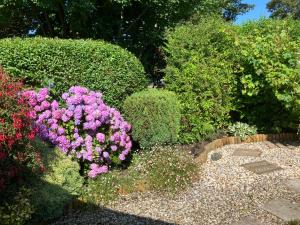 Cosy Cottage with Wood Burning Stove