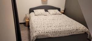 Maisons de vacances Villa Marylou : photos des chambres