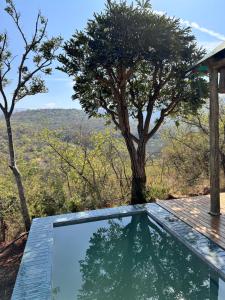 Sasi Africa Luxury Tented Bush Lodge