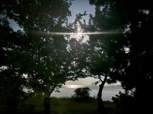 高島市一棟貸切 Biwa Lake琵琶湖 徒歩0分 大人数でご利用だとお得連泊がお得BBQ自転車貸出可ペット可 - 3hvězdičkové hotely ve městě Takashima