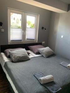 Domki całoroczne - u Ptaka - Miłków