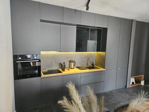 Brooklyn 88 Apartment - 4hvězdičkové hotely ve městě Niš