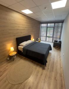 Апартамент АЛИС Костенец