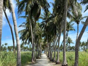 Boli Villa Thoddoo