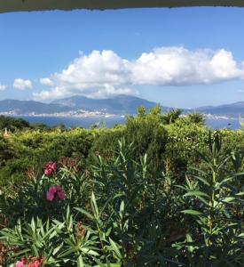 Villas Villa vue sur mer Corse Blanca Casa a PORTICCIO AJACCIO : photos des chambres