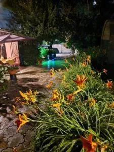 Баракат - 乔克-塔尔