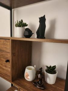 Victoria Towers D - 2 Bedroom Mejia Flat